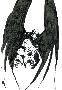 200705 loran