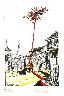 Folle Image  6